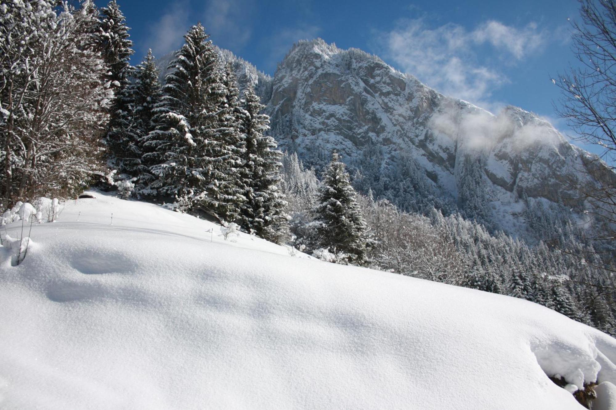 La Case Bed and Breakfast Abondance Esterno foto