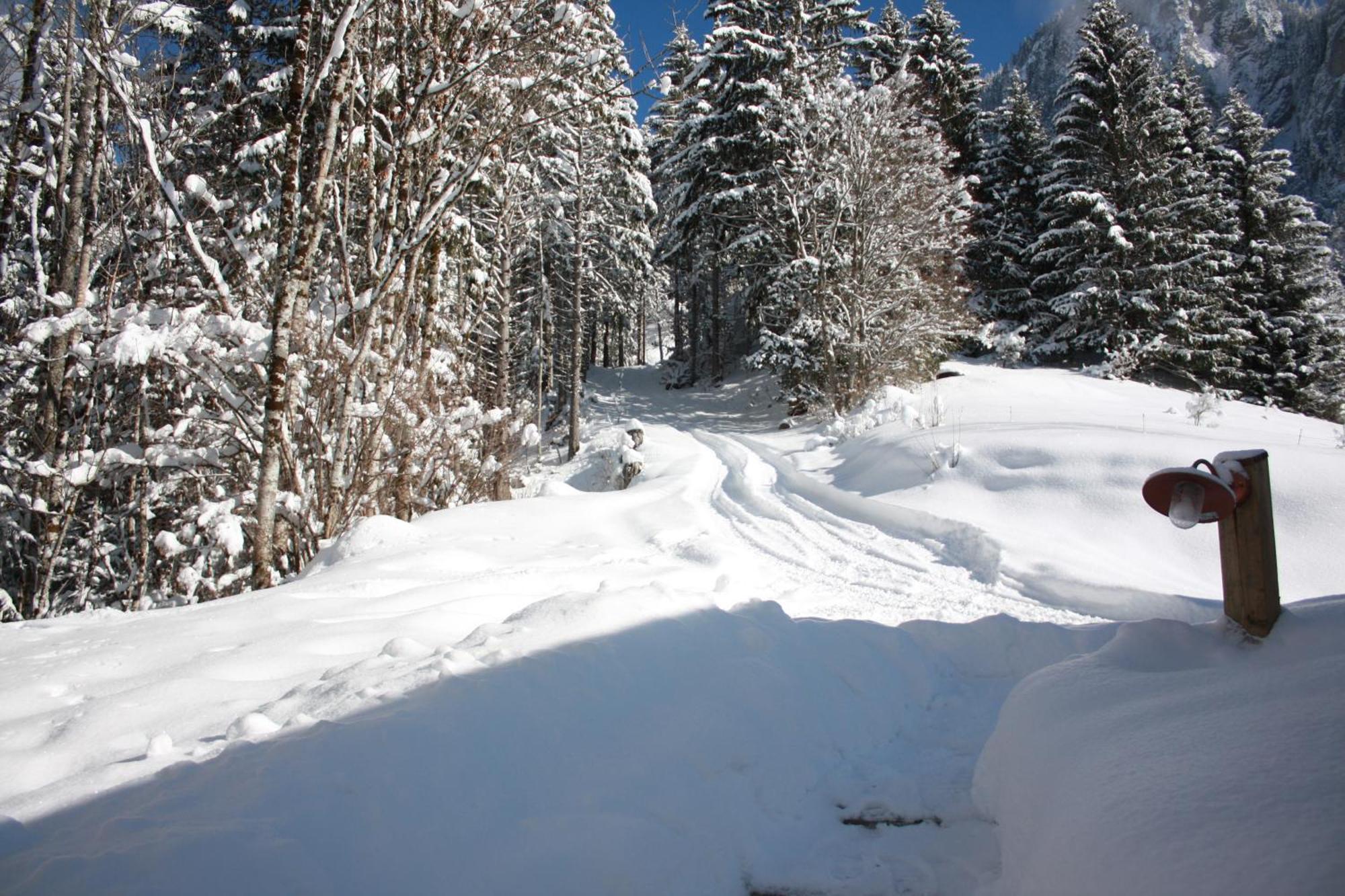 La Case Bed and Breakfast Abondance Esterno foto