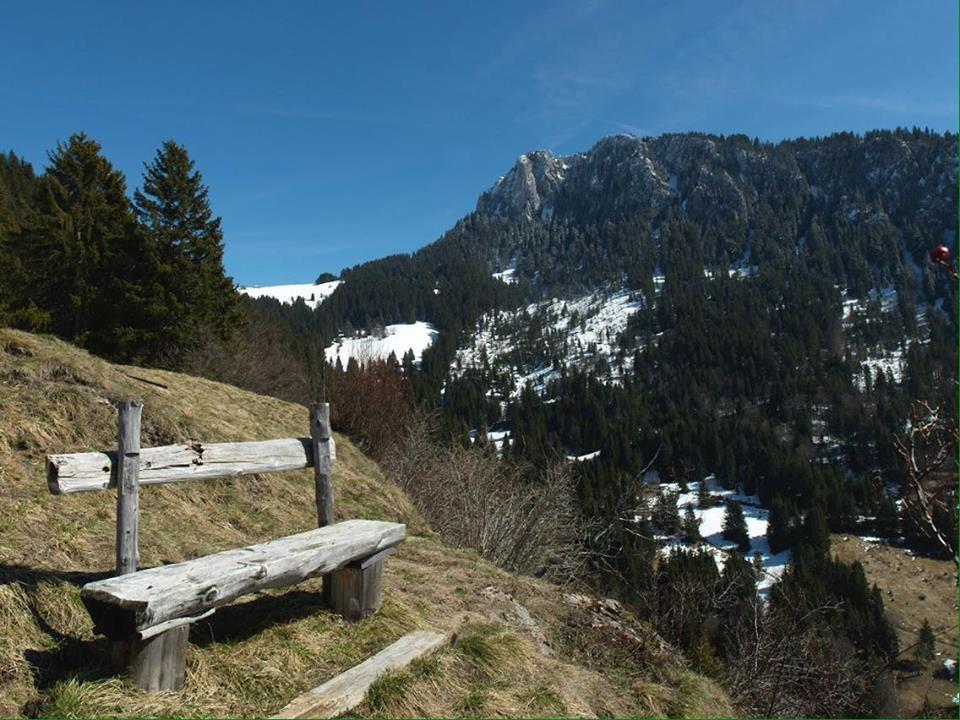 La Case Bed and Breakfast Abondance Esterno foto